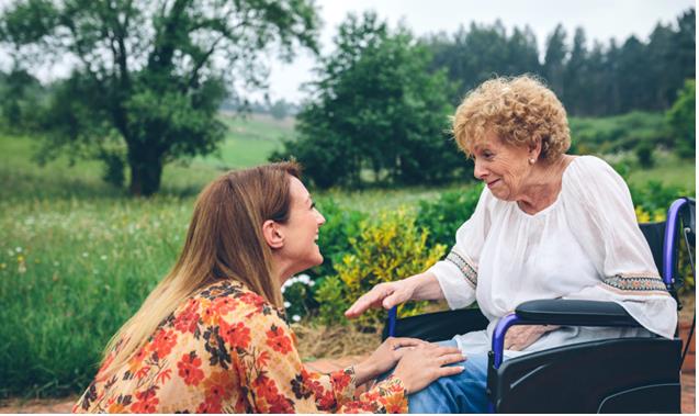🌿 Manger pour « rester jeune » : Alimentation et plantes anti-vieillissement